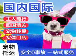 海西德令哈航空物流国际宠物托运 【国